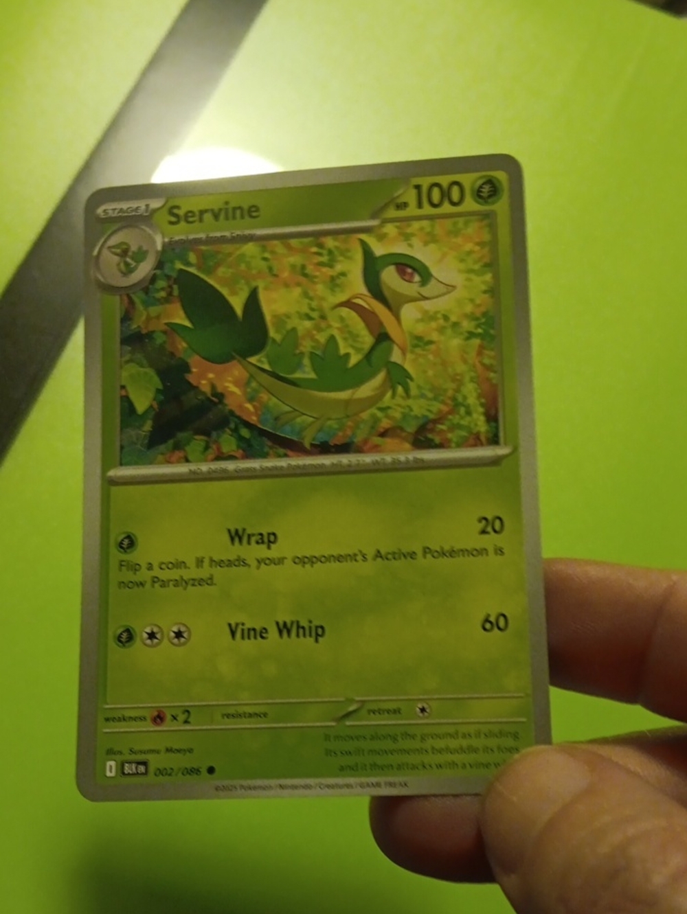 Pokemon Servine Trading Card - Green